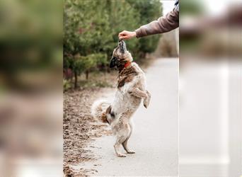 Zärtliche Milly sucht ihre Familie