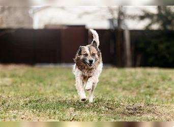 Zärtliche Milly sucht ihre Familie