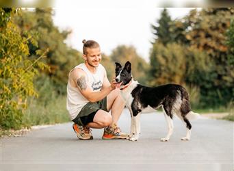 Wundervolle Niksi sucht ihre Familie