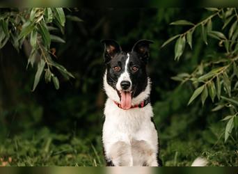 Wundervolle Niksi sucht ihre Familie