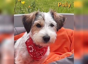 Polly, gute Laune Hund