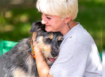 Die süße Schnauzerin Becky sucht ein Zuhause.