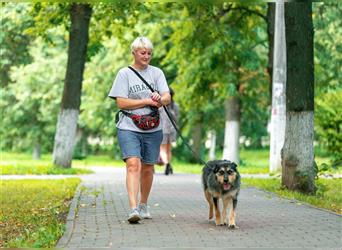 Die süße Schnauzerin Becky sucht ein Zuhause.