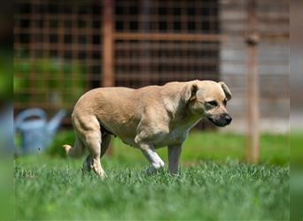 Gweny sucht Familienanschluss