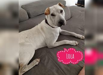 Lola ein feines gutmütiges Mädchen
