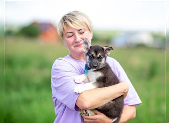 Fibi sucht eine liebevolle Familie