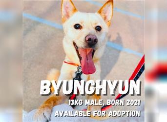 Byunghyun,ist ein sportlicher,aktiver Junge ,2021 geboren, etwa 13 kg,tolle Familie gesucht.