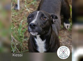 Kessi: Sucht ein Zuhause
