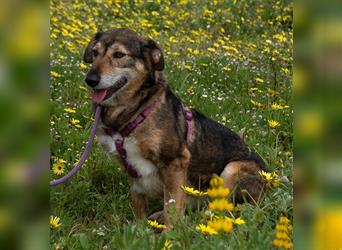 Emily sucht nach Geborgenheit