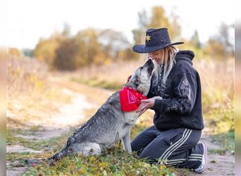 Süße Tiny sucht eine Familie