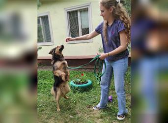 Der fröhliche und freundliche Jackie sucht ein Zuhause.