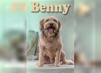 Benny, aktiv und sportlich