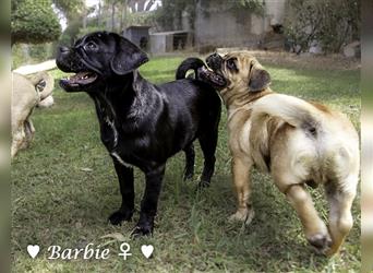 Bertie und Barbie   suchen ein Zuhause