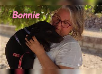 Bonnie 05/2024 (ESP) - niedliche und neugierige Bodeguero-Mix-Welpin!