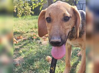 Mädchen Lucy sucht ihr Für-Immer-Körbchen ❤️