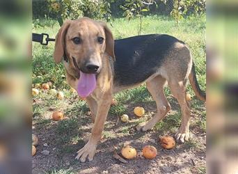 Mädchen Lucy sucht ihr Für-Immer-Körbchen ❤️