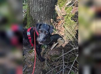 Aktive Zsenge wartet in Oberdürenbach