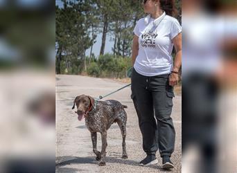 Snikers, der Traumhund aus dem Süden