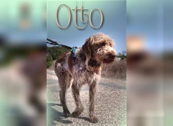 Otto – ein temperamentvoller Herzensbrecher