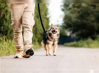 Freundlicher Teyla sucht ihre Menschen