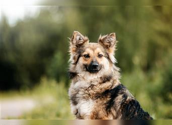 Freundlicher Teyla sucht ihre Menschen