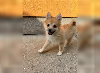 Betty-SR, Süße Maus sucht Zuckerschloss!