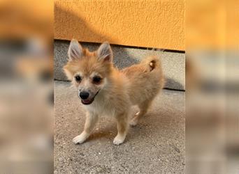 Betty-SR, Süße Maus sucht Zuckerschloss!