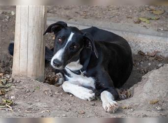 BONNIE-besondere, exotisch wirkende Schönheit, zart, sanft sucht happy End mit eigener Familie