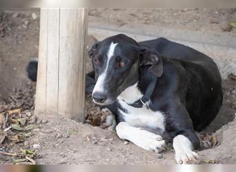 BONNIE-besondere, exotisch wirkende Schönheit, zart, sanft sucht happy End mit eigener Familie