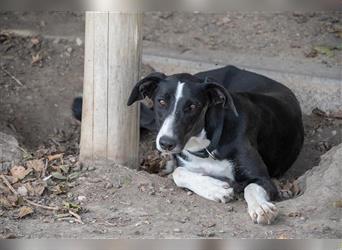 BONNIE-besondere, exotisch wirkende Schönheit, zart, sanft sucht happy End mit eigener Familie