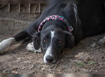 BONNIE-besondere, exotisch wirkende Schönheit, zart, sanft sucht happy End mit eigener Familie