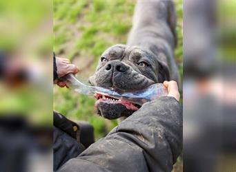 Epileptiker sucht Pflege- oder Endstelle