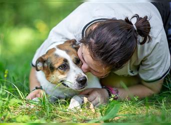 Shanti sucht eine ruhige, liebevolle Familie