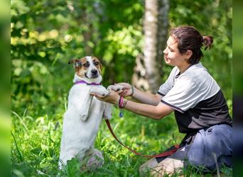 Shanti sucht eine ruhige, liebevolle Familie