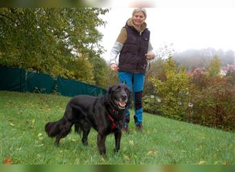 Timossi - eine Seele von Hund - Tierhilfe Franken e.V.