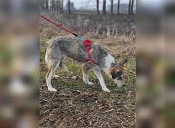 Paige 03.2024 geb., 47 cm môchte gemeinsam mit dir viel kennenlernen