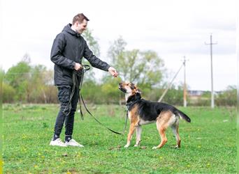 Der fröhliche Bärenjunge Andrey sucht eine Familie