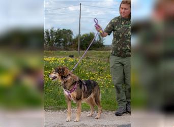 Emily sucht nach Geborgenheit