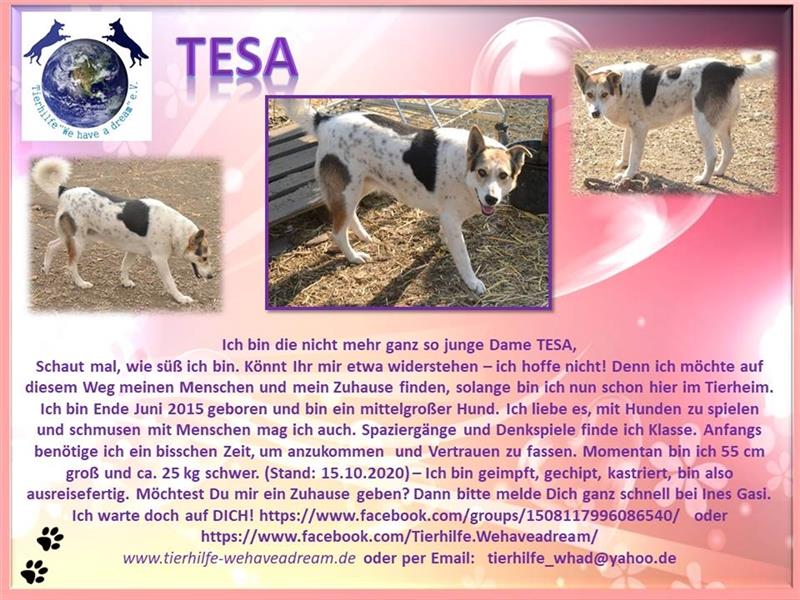 TESA sucht eine liebe Familie