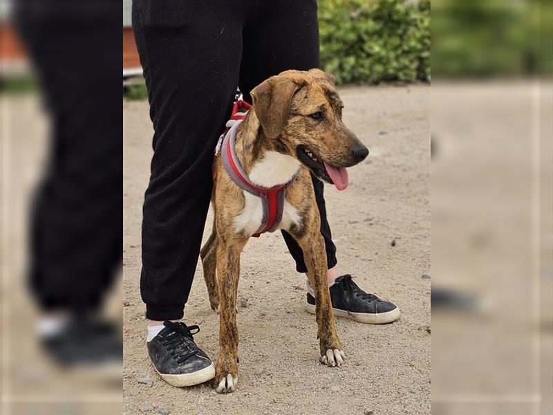 Annabella - Leben im Zwinger