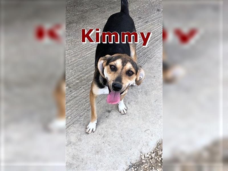 KIMMY - sucht ein Zuhause 