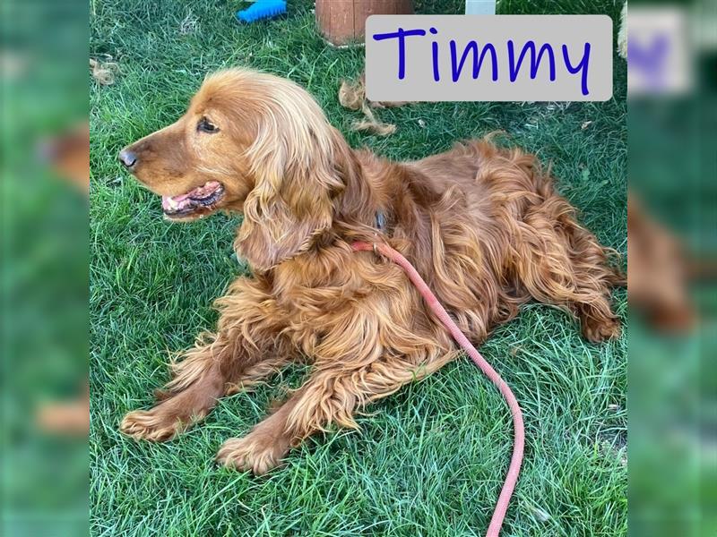 Unser lieber Timmy