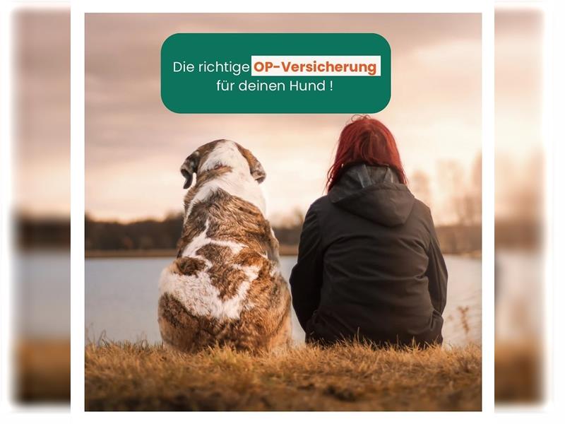 HanseMerkur Hunde OP-Versicherung