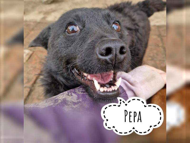 Pepa ein liebes Mädchen