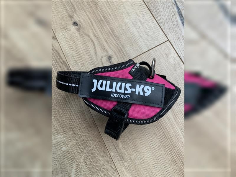 Julius K9 Hunde Geschirr pink Gr. 2XS / Baby2