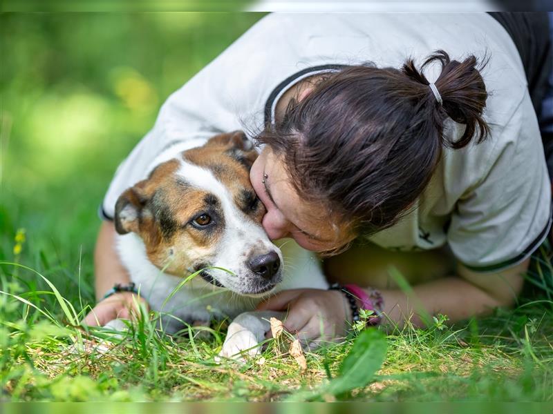 Shanti sucht eine ruhige, liebevolle Familie