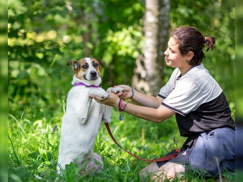 Shanti sucht eine ruhige, liebevolle Familie