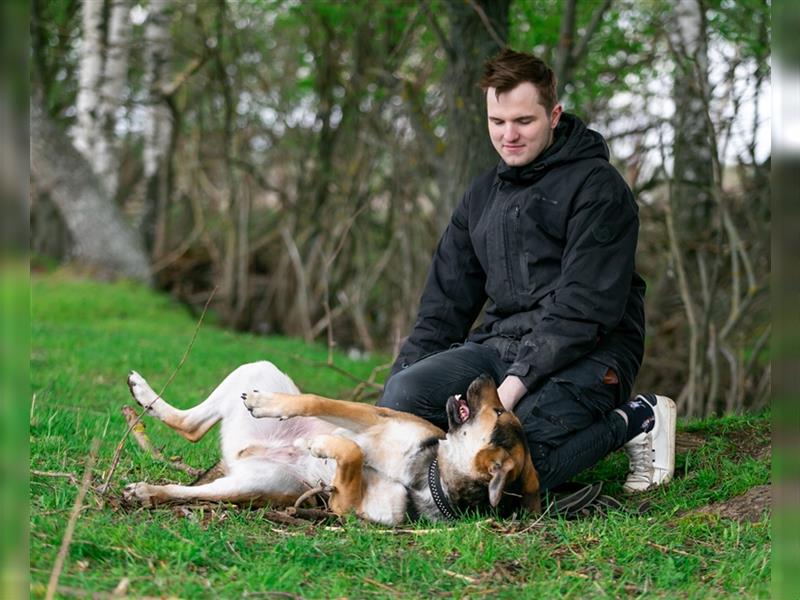 Der fröhliche Bärenjunge Andrey sucht eine Familie