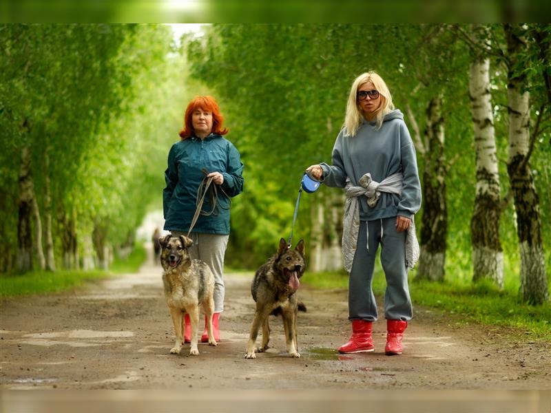 Der blinde Kuzya und seine Freundin Myschka suchen eine Familie!