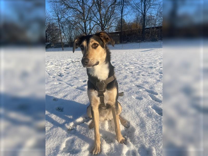 Polly  in der Nähe von Karlsruhe zu besuchen